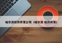 哈尔滨软件开发公司（哈尔滨 软件开发）