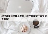 软件开发该学什么专业（软件开发学什么专业大数据）