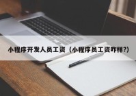 小程序开发人员工资（小程序员工资咋样?）