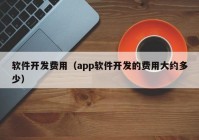 软件开发费用（app软件开发的费用大约多少）