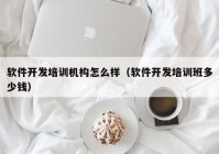 软件开发培训机构怎么样（软件开发培训班多少钱）