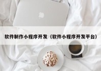 软件制作小程序开发（软件小程序开发平台）