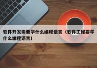 软件开发需要学什么编程语言（软件工程要学什么编程语言）