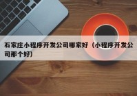 石家庄小程序开发公司哪家好（小程序开发公司那个好）