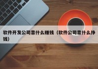 软件开发公司靠什么赚钱（软件公司靠什么挣钱）