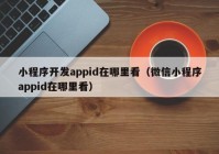 小程序开发appid在哪里看（微信小程序appid在哪里看）