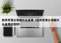 软件开发公司做什么业务（软件开发公司做什么业务比较好）