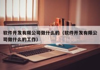 软件开发有限公司做什么的（软件开发有限公司做什么的工作）