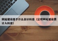 网站建设属于什么会计科目（公司网站建设费计入科目）