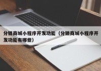 分销商城小程序开发功能（分销商城小程序开发功能有哪些）